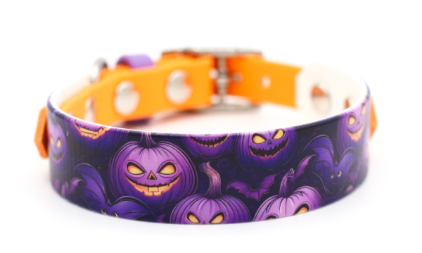 BioThane Halsband Halloween Breiten mit Pastell-Orange kombiniert von vorne