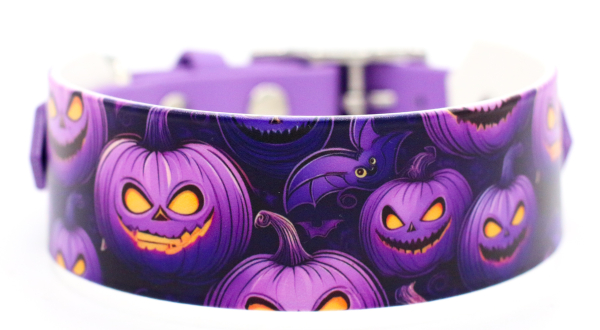 BioThane Halsband Halloween Motiv