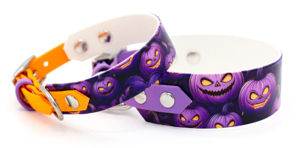 BioThane Halsband Halloween Breiten und Farben im Vergleich mit Pastell-Orange und Amethyst für kleien und große Hunde