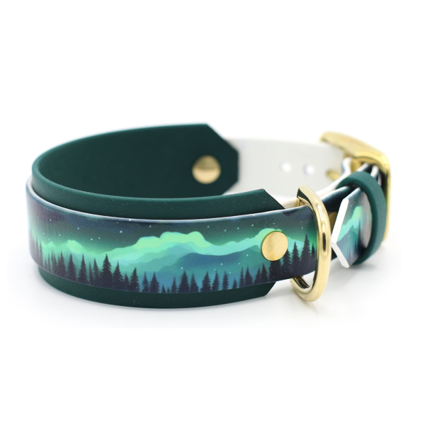 BioThane Halsband und Leine Set mit Northern Lights Motiv