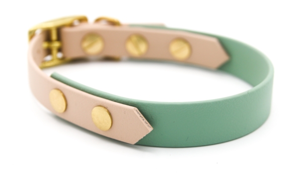 BioThane® Halsband zweifarbig, Hundehalsband breit, Windhundhalsband, in Salbeigrün und Powder seitlich von vorne