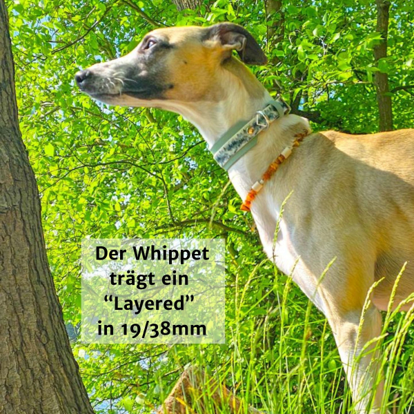 BioThane Halsband mit Foggy Mountains Motiv am Whippet