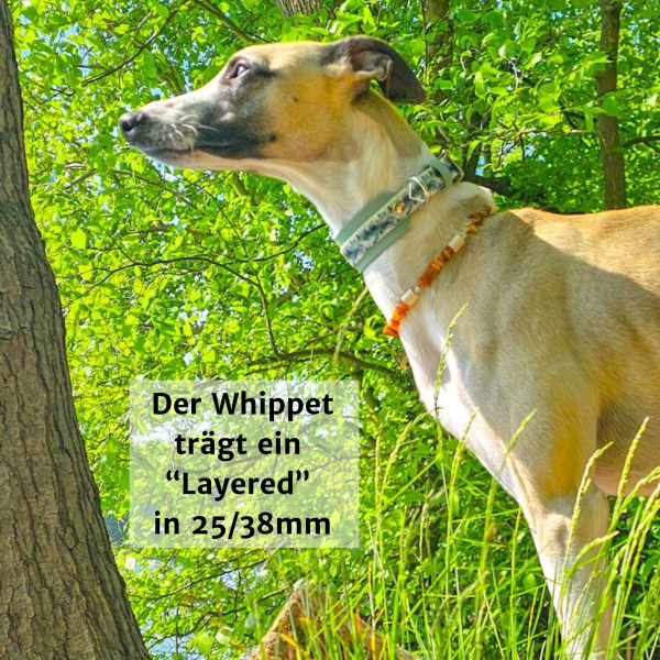 BioThane Halsband Foggy Mountains mit Salbeigrün an einem Whippet