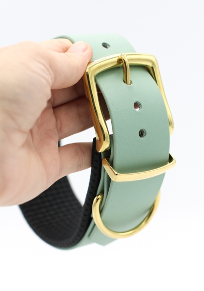 BioThane® Halsband gepolstert, Hundehalsband BioThane breit, in Salbeigrün in der Hand