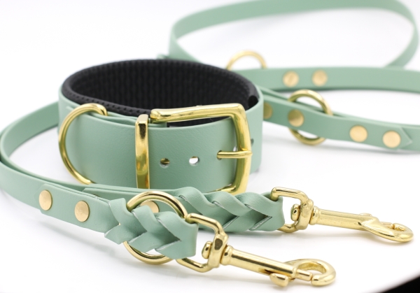 BioThane® Halsband gepolstert im set mit einer Hundeleine in Salbeigrün