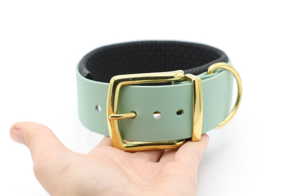 BioThane® Halsband gepolstert, Hundehalsband BioThane breit, in Salbeigrün