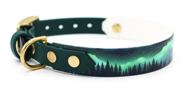 BioThane® Halsband - "Northern Lights" mit Dunkelgrün | Breite 19mm/25mm