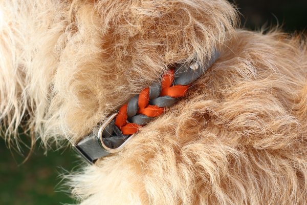 Fettleder Halsband geflochten zweifarbig am Hund