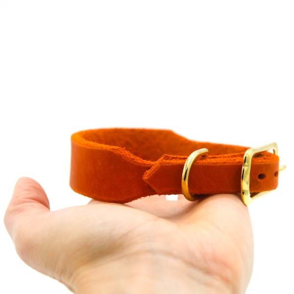 breites Lederhalsband Windhundhalsband in Orange mit Messing Schnalle